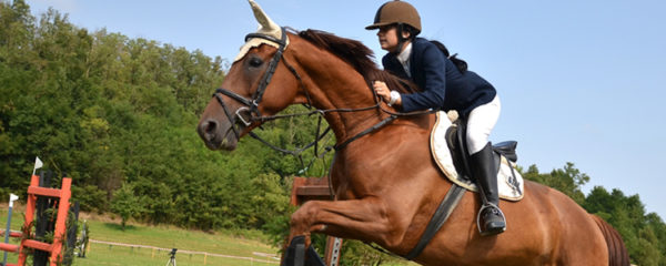 Débuter l'équitation