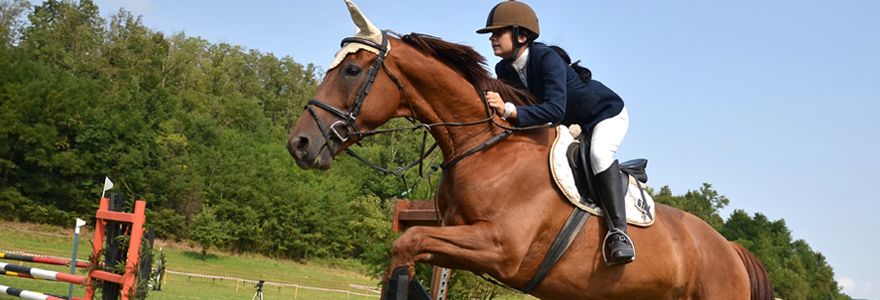 Débuter l'équitation